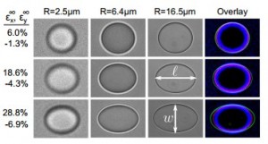 Adding water to solids can actually make them stronger, providing engineers with exciting new material composites - Yale research (4)