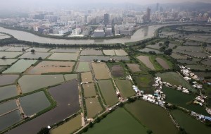 Small farmers produce 80 % percent of the world's food, and the do it with less than 25% of the world's farmland - study