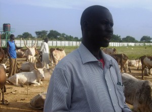Authorities from Jonglei state’s Bor county have called for stolen cattle to be returned to owners in eastern South Sudan