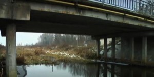 17-year-old woman with newborn found drowned in Lithuanian river (5)