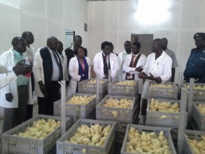 Poultry farmers call for out-growers to satisfy customers in South Sudan (1)