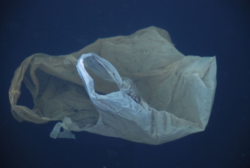 EU plastic bag law