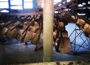 Ai Weiwei’s Wing From Lhasa (2)