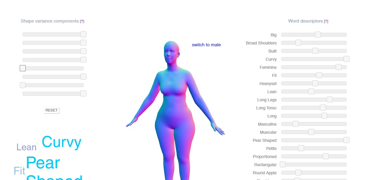 Generate a body type and get the words that describe it